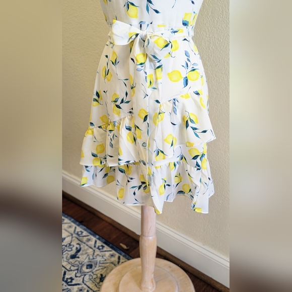 Banana Republic Lemon Pattern Dress - Picture 5 of 6